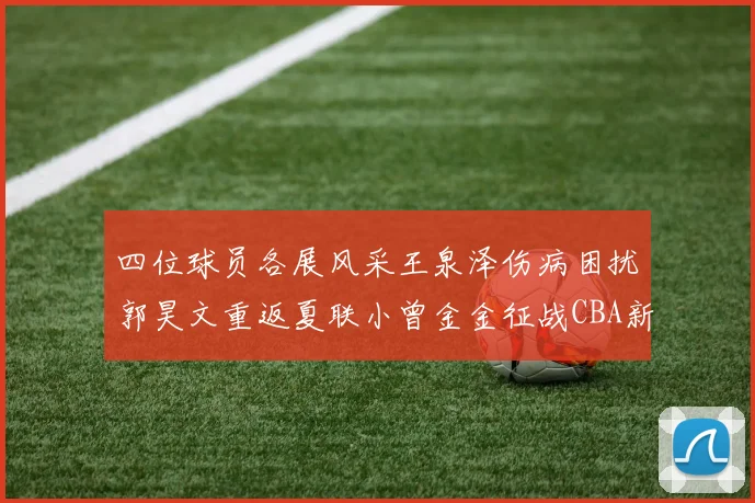 四位球员各展风采王泉泽伤病困扰郭昊文重返夏联小曾金金征战CBA新赛季